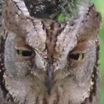 Lucias, Experiencias De Ecoturismo منزل ريفي *