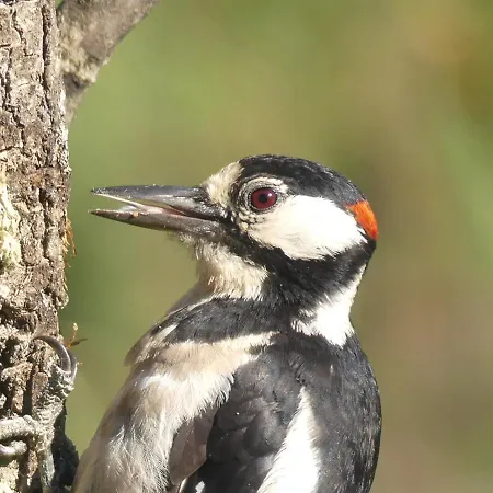 Lucias, Experiencias De Ecoturismo Country house