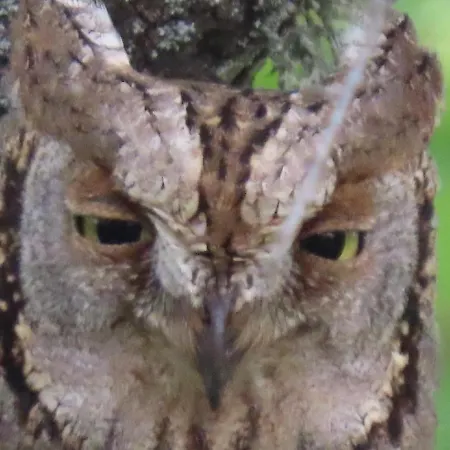 Lucias, Experiencias De Ecoturismo Country house *