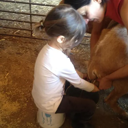 Venkovský dům Lucias, Experiencias De Ecoturismo Navatrasierra