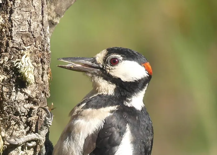 Lucias, Experiencias De Ecoturismo Séjour à la campagne