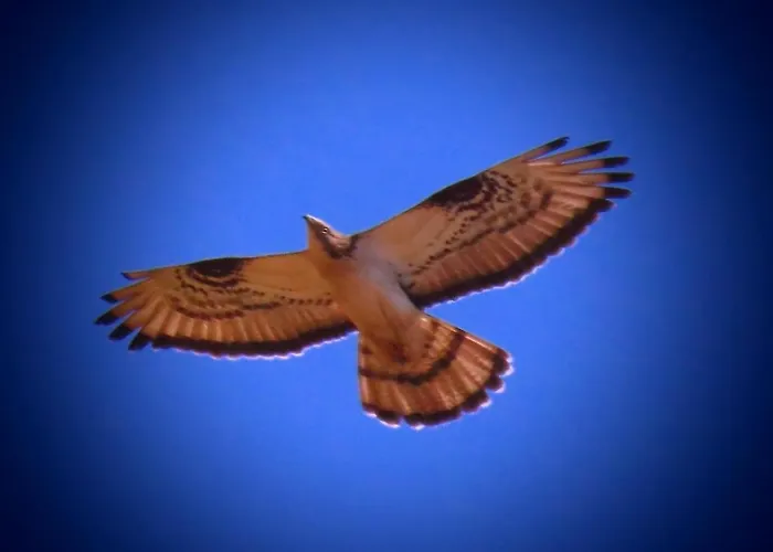 Séjour à la campagne Lucias, Experiencias De Ecoturismo
