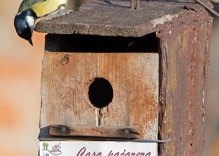 Lucias, Experiencias De Ecoturismo Navatrasierra