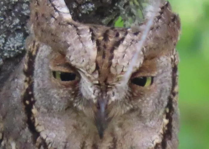 Lucias, Experiencias De Ecoturismo Séjour à la campagne *