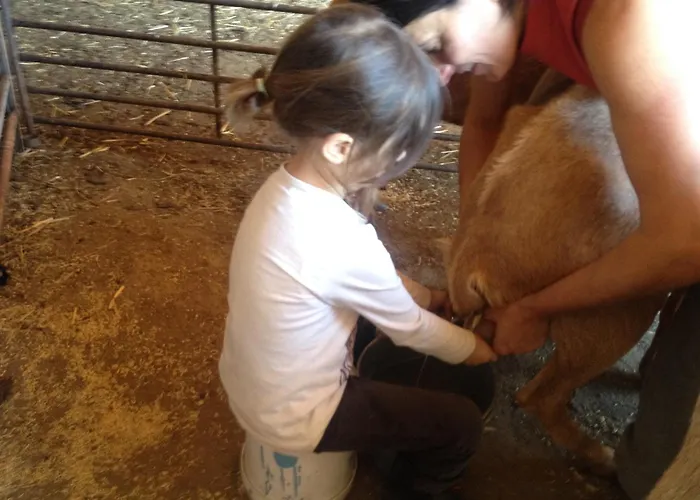 Séjour à la campagne Lucias, Experiencias De Ecoturismo Navatrasierra