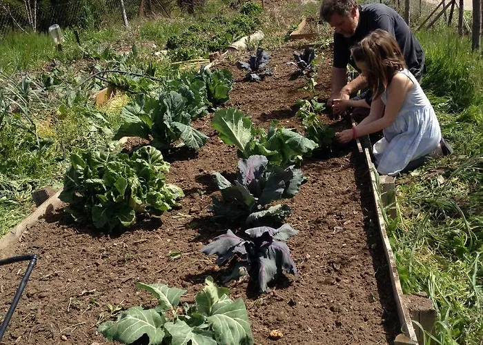 Lucias, Experiencias De Ecoturismo Séjour à la campagne
